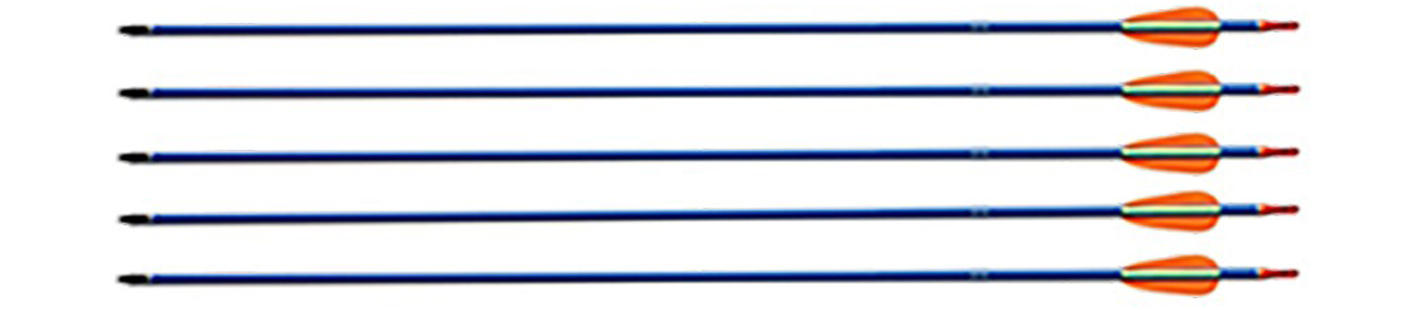 Strzały Ek Poe Lang 2018 30/2,5 Blue 5 szt. Aluminiowe