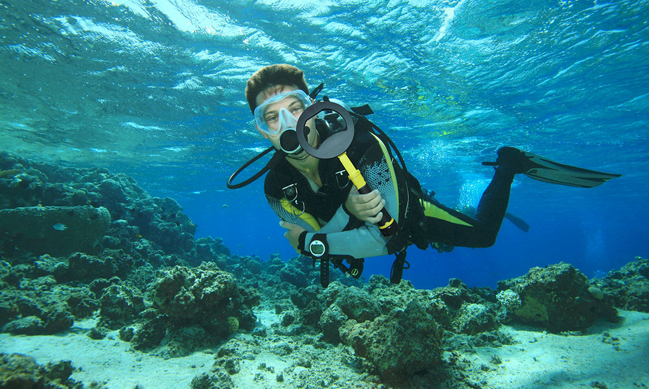 Wykrywacz metali Nokta PulseDive Pointer Scuba Set cechy