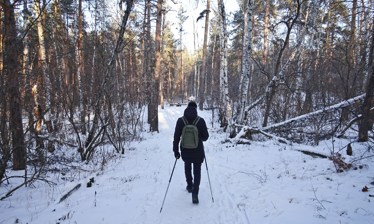 Człowiek na spacerze w lesie
